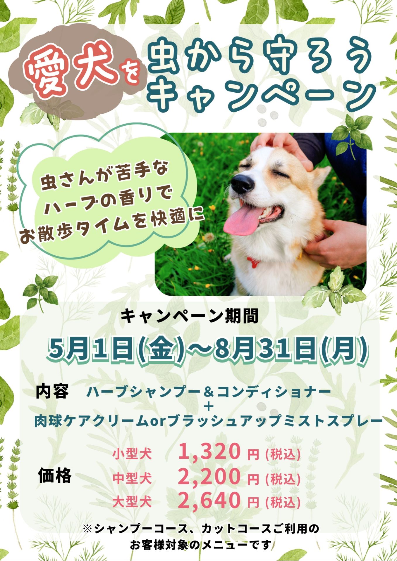 Dog Cube byサロン・ド・フレンディ盛岡店