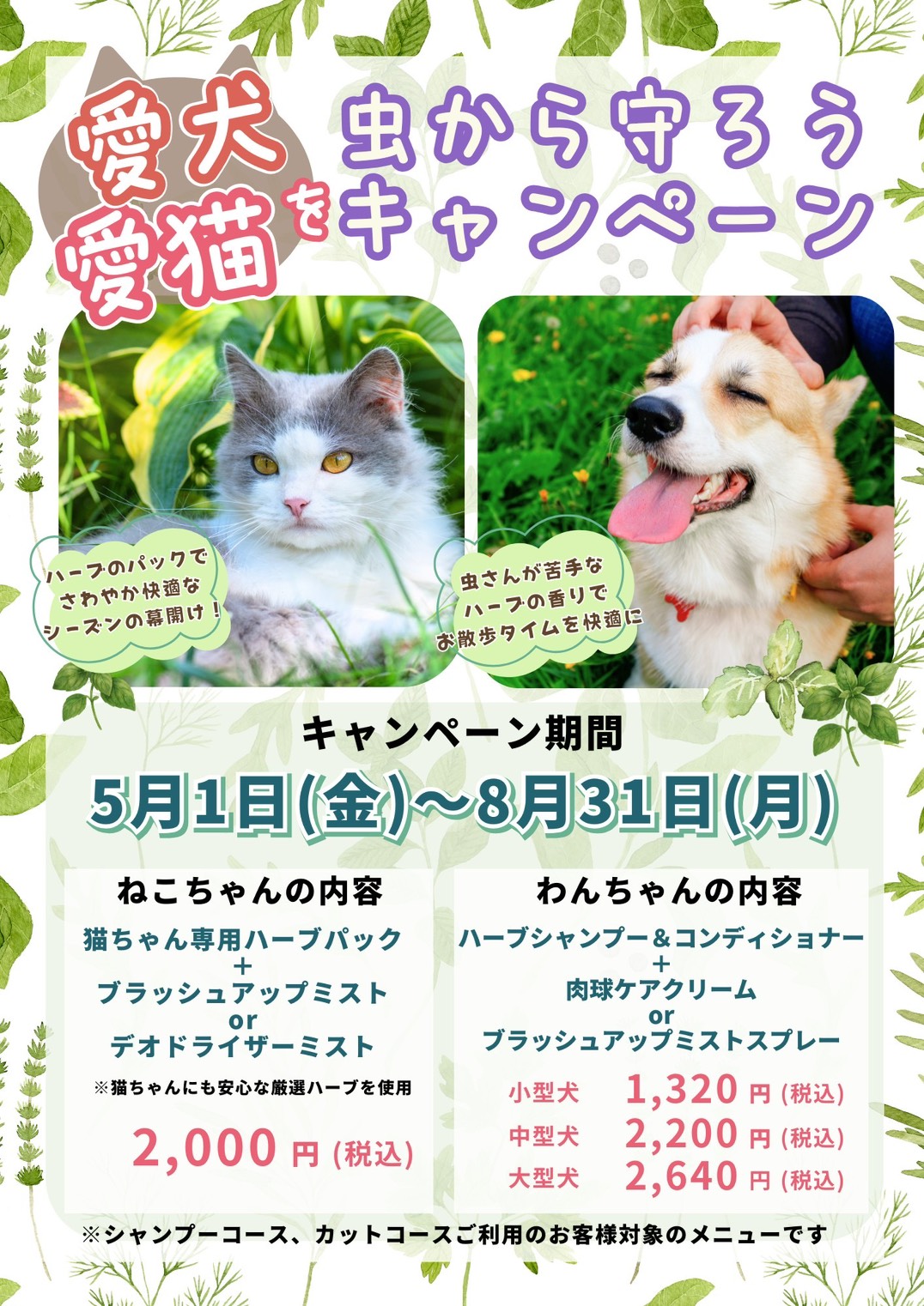サロン・ド・フレンディ郡山店