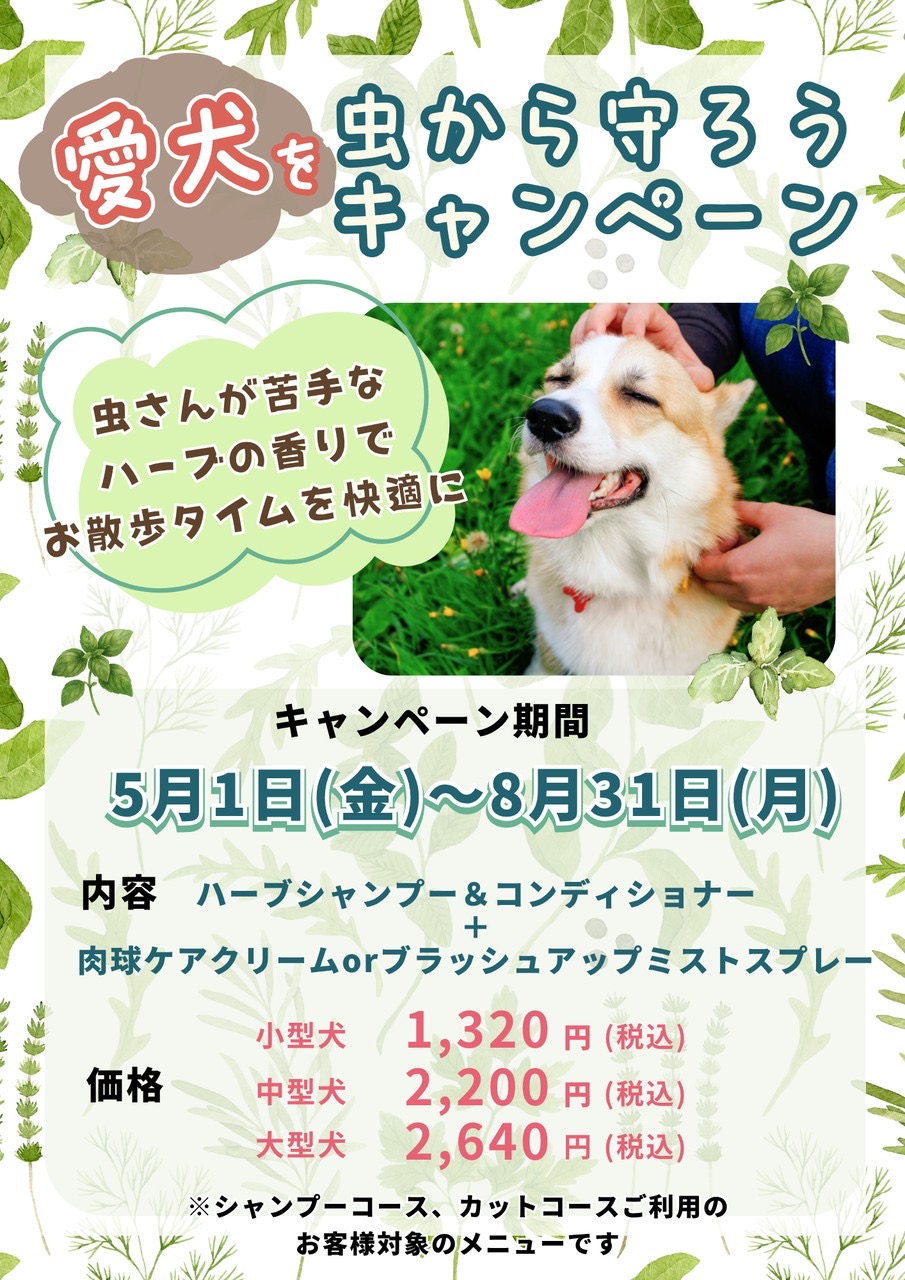 フレンディ